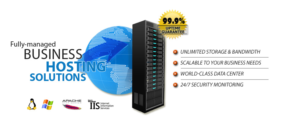 Managed Business Hosting Plans